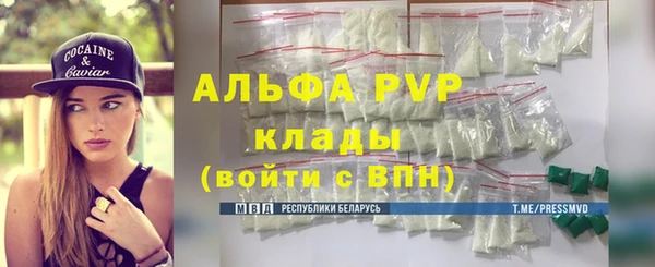 индика Алексеевка