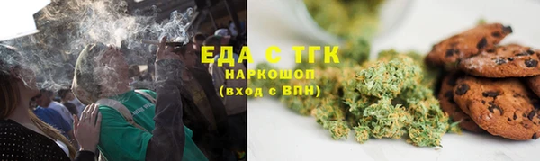 индика Алексин