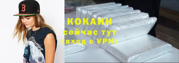 индика Алексин