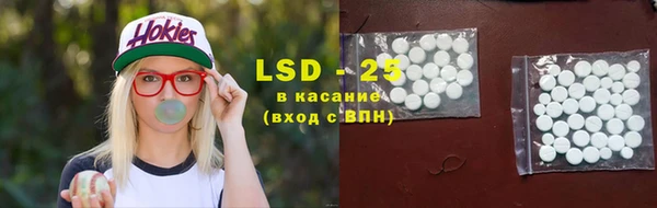 индика Алексин