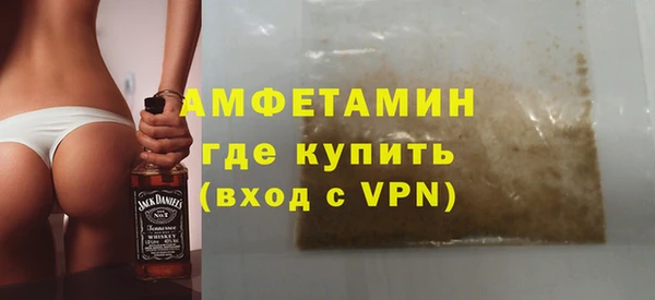 индика Алексин