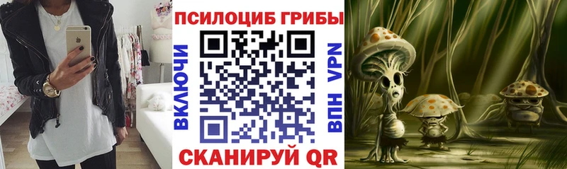 Псилоцибиновые грибы Cubensis  Ветлуга 